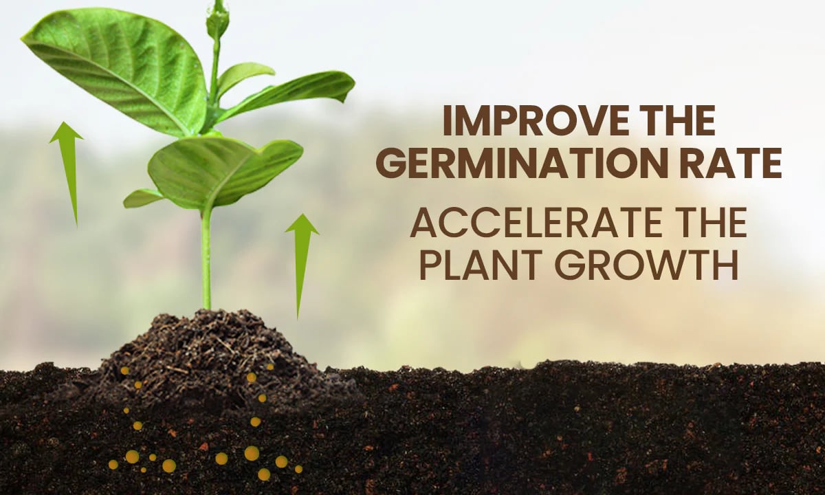 Soil Activator: Plants' Best Friend - Rejuvenate Your Plants