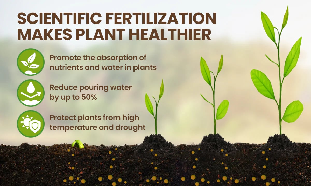 Soil Activator: Plants' Best Friend - Rejuvenate Your Plants