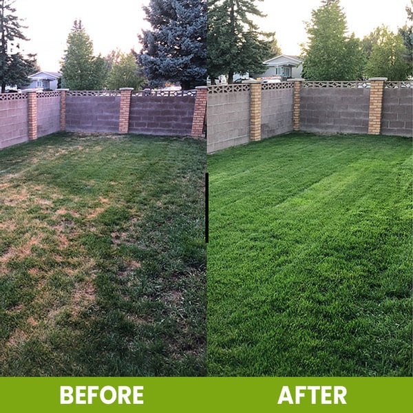 Soil Activator: Plants' Best Friend - Rejuvenate Your Plants